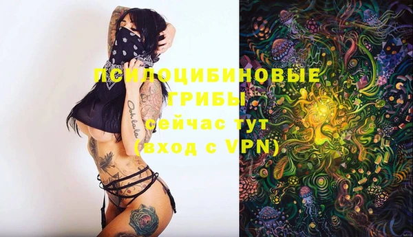 стафф Карталы