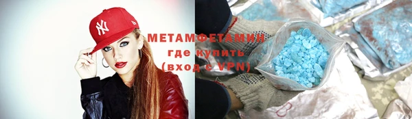 прущие грибы Богородск