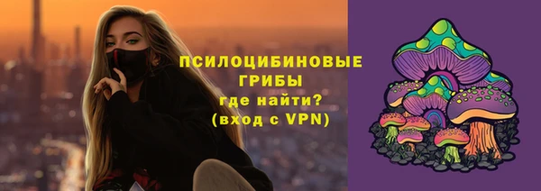 прущие грибы Богородск