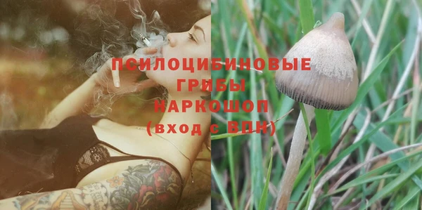 прущие грибы Богородск