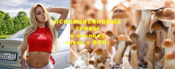 гашишное масло Кодинск