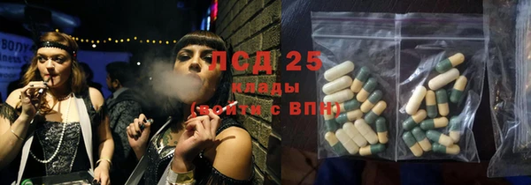 ГАЛЛЮЦИНОГЕННЫЕ ГРИБЫ Касимов