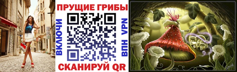 Псилоцибиновые грибы Cubensis  даркнет сайт  Клинцы 